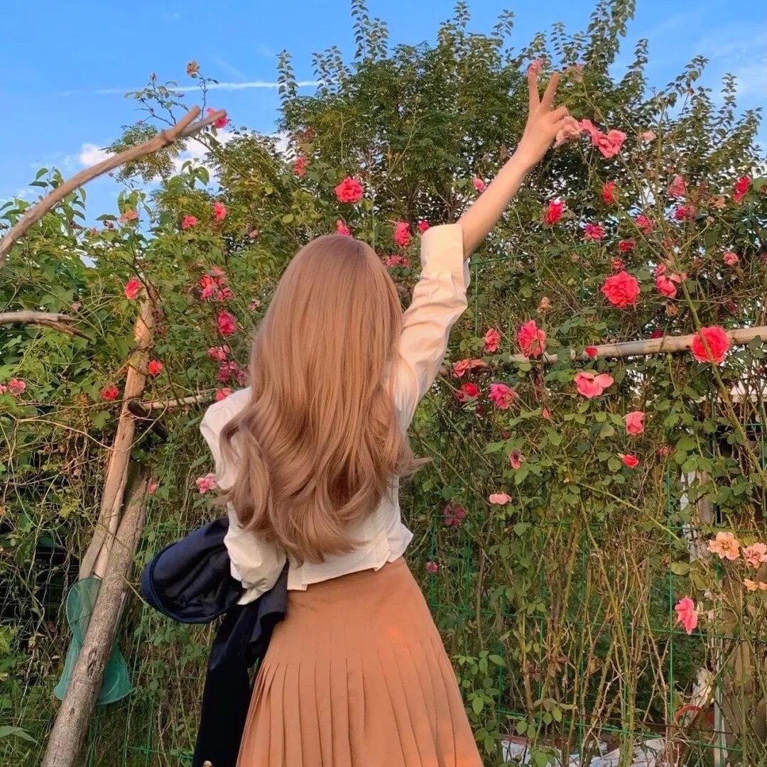 套路先生请指示